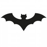 Transylvanian bat